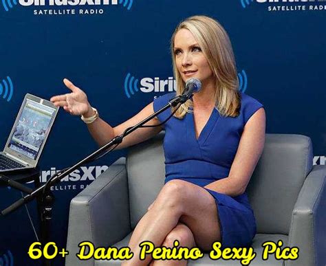 dana perino hot